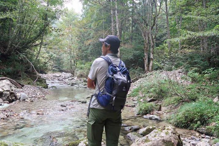 Kwʂ̒46`53cmBȐlɂ͏傫Ȃ