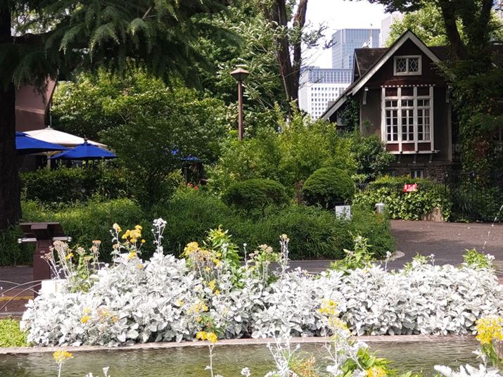 Ɠi]Jɐ؂ւĎBeBʑ̂łAWJ⒴LpJ̈ۂƑ傫قȂBzCgoXWJƂ͂₸Ă悤Ɍ