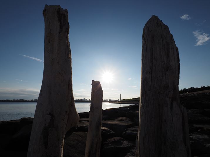 OM-D E-M1 Mark IIIAM.ZUIKO DIGITAL ED 8-25mm F4.0 PROA8mmi35mmZ16mmjAISO200AF11A1/640bAzCgoXFI[gAsN`[[hFNaturalAKFWAJPEGBeʐ^i5184×3888A6.3MBj