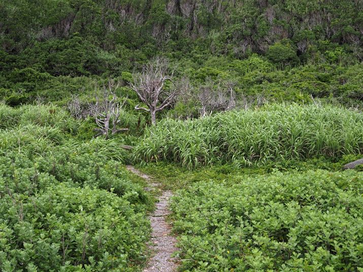 OM-D E-M1 Mark IIIAM.ZUIKO DIGITAL ED 8-25mm F4.0 PROA25mmi35mmZ50mmjAISO200AF8A1/50bAzCgoXFI[gAsN`[[hFi-FinishAKFWAJPEG