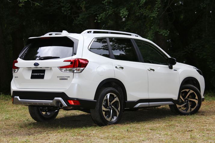 Xo V^utHX^[vi2021N啝ǃfjAdvanceO[h̃tgGNXeAƃAGNXeA