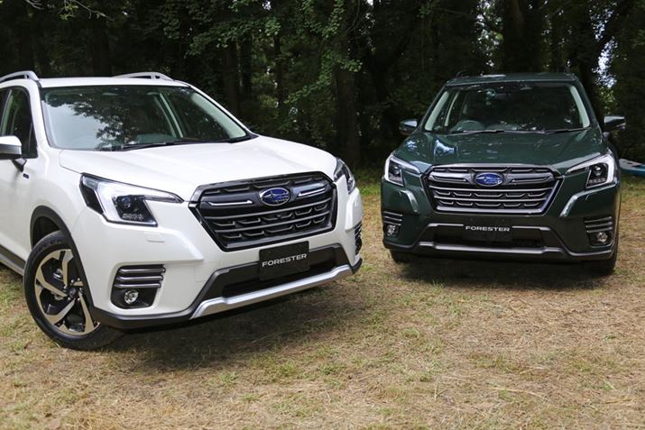 Xo V^utHX^[vi2021N啝ǃfjAdvanceO[hijTouringO[hiEj̃tgtFCX