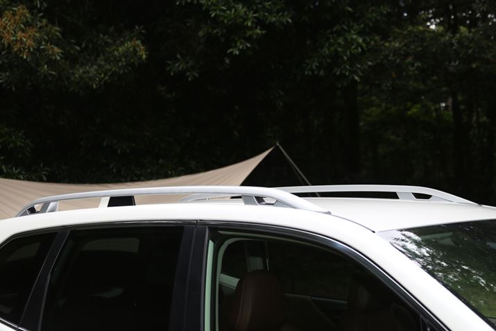 V^utHX^[vł́AX-BREAK܂ޑSO[hɁu[vz[v݂ꂽB摜AdvanceO[hŁA[t[ɂĂ̓[J[IvVƂȂ