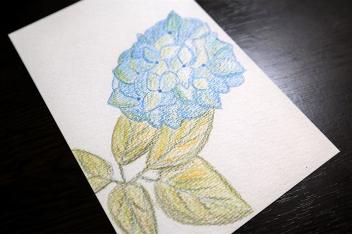 t̐cz_[MƐygĂ݂悤I ƈӗ~M҂͉G̍쐬璧BG͂܂蓾ӂł͂Ȃ̂łAsvcƂĂ݂C萶܂