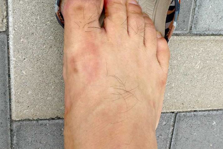 6ԂقǗłBew̑ʂɋ߂ԂȂ܂B̂Ȃł邩܂񂪁A͂̕₫ł