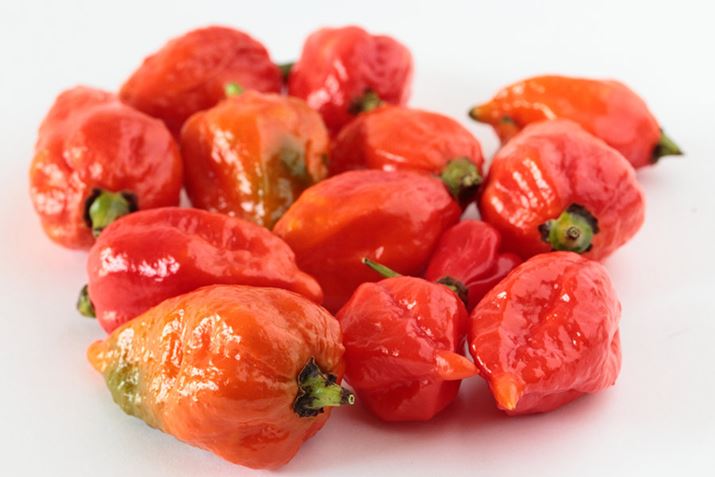 n͐ԂIWFB\ʂ͂炴œʉĂ̂