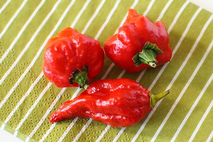 u[gEWLAijƃgj_[hEXR[sIEub`EeC[iOƉEjAăMlX1ʂlRrł