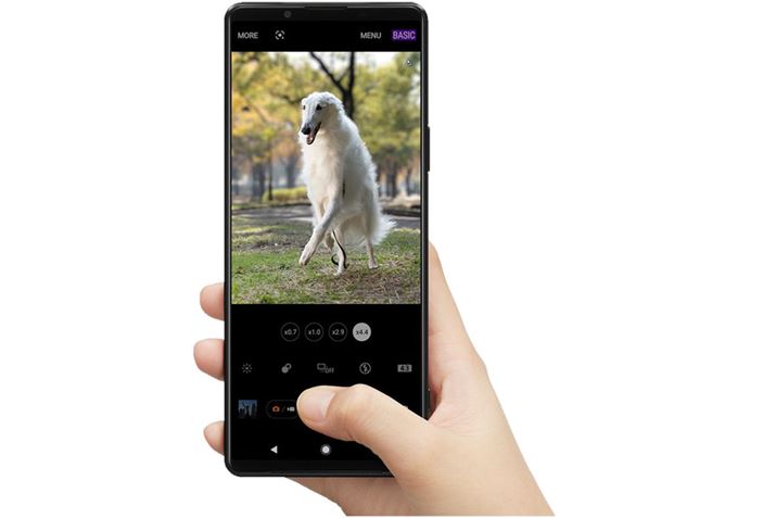 Ǝ̃JAvuPhotography ProvɐVڂꂽuBASICv[hB XibvBeɕ֗Ȃ悤ɁA悭gBe@\݂̂\