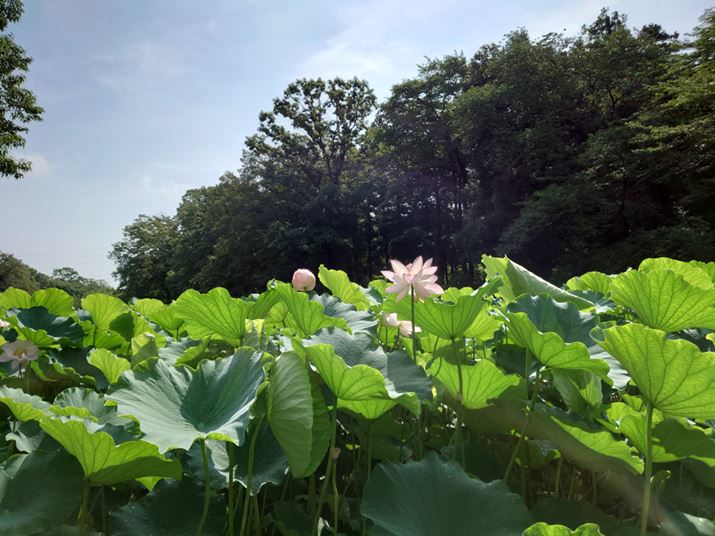 ̕itŎBeB؂̓AȂǂƃtAȂAtł𑜂