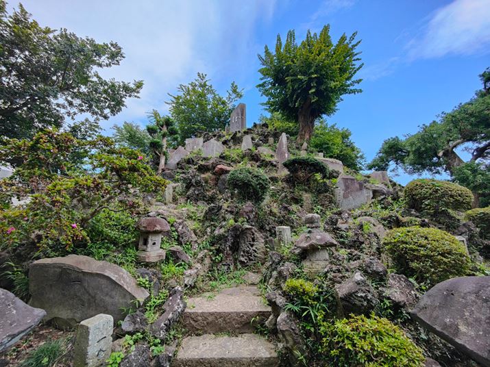 ym˂BeB5,000f̍fłƂĂkB15mm̒Lp̂ߒ˂̑S̑\}Ɏ܂Bӂ܂ŉ掿͋ψꂩA䂪݂␳Ă̂ŁAƂĂ₷BȂA̈ۂ͓̈ۂZN₩