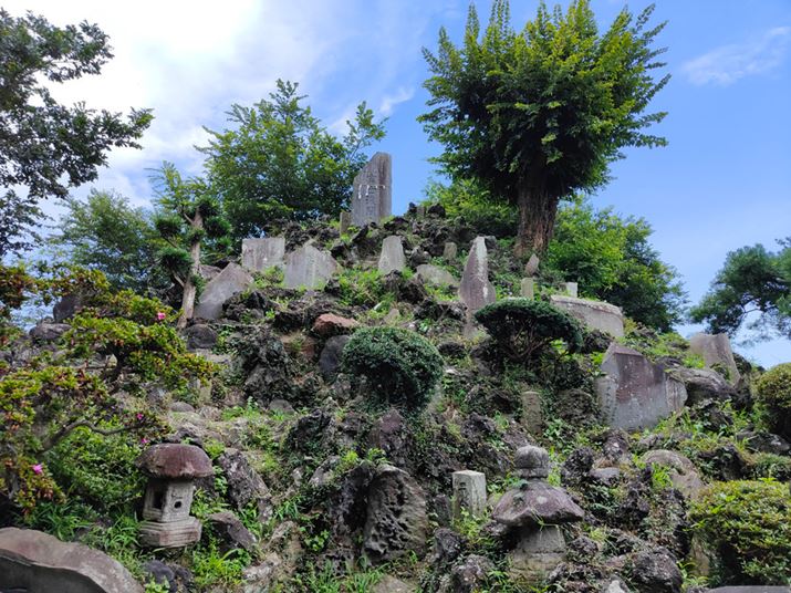 Ɠ\}LpJɐ؂ւĎBeBLpJAœ_24mmŁAǂȔʑ̂Be₷pƌBLpJƂ͉pςA𑜊F̕ῶقƂǂȂ