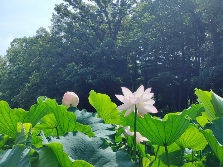 tŃnXBeBSʂɃtAĂBLpJłtA͌ĂAt\͂܂荂قł͂Ȃ悤