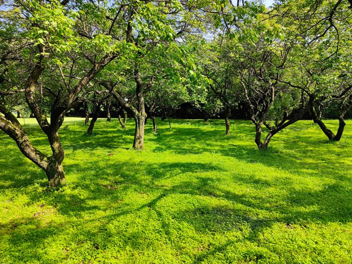 łꂽ쌴BN₩ȏꏊɌ邪Äۂ͂łBĤ؂𖾂邭N₩ɎʂƂX