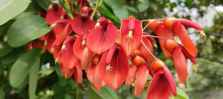 10bit[h͑@ׂȐF̕\ɂBʐ^̂悤ȕGȊK̉ԂȂǎBeňЗ͂𔭊邾낤iӁFʐ^10bitŎBe8bitJPEGɕϊς݂̂̂Ȃ̂ŁA܂ŎQlƂāj