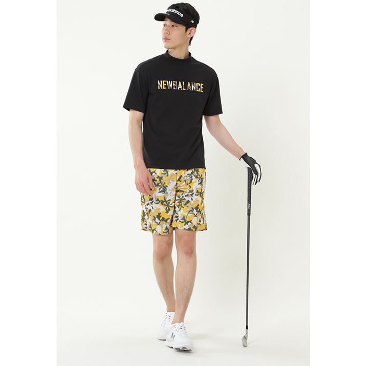 J[͎ʐ^̃J[L̂قAlCr[p