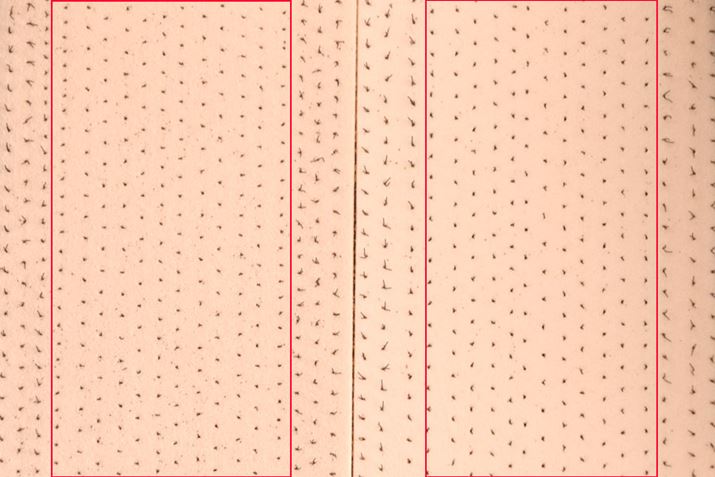 ԘgVF[rOBuV[Y9ProvŉEuV[Y9vBق̏̍ł͂邪AO҂̂قĂ銄CB҂̂ق͑S̓Iɂ傢c̈