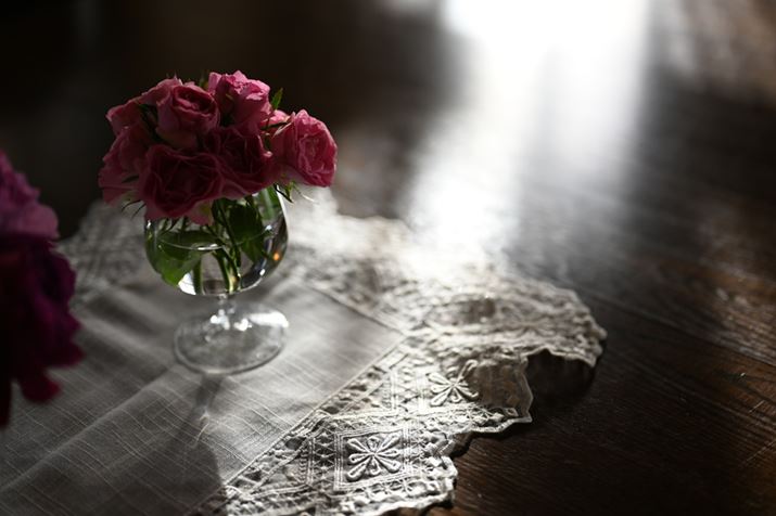 NIKKOR Z 50mm f/1.8 SŎBeiZ 6AF1.8A1/160bAISO100AzCgoXFRI[gAsN`[Rg[FI[gj