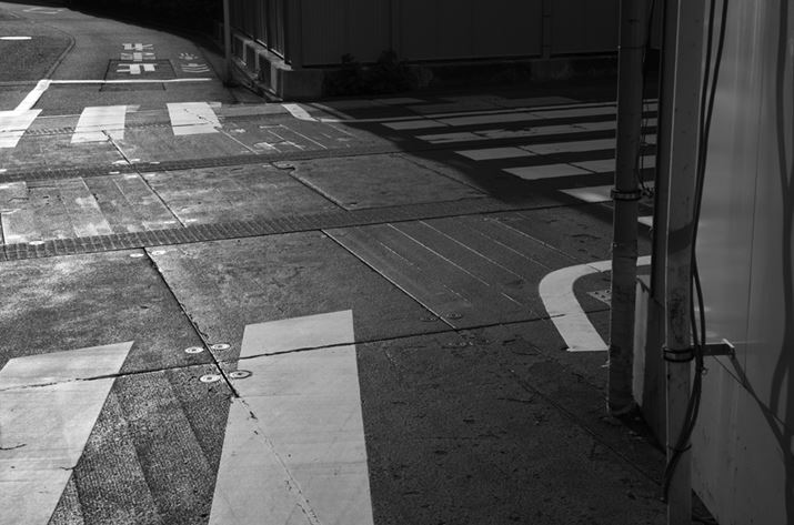 APO-SUMMICRON-M f2.0/50mm ASPH.ŎBeiCJM10mN[AISO160AF11A1/360bj