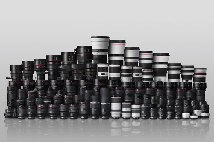 J̌Y͔ɑ̐pӂĂB摜̓LmEFY/RFYQẢ摜邾łA̐̑`邾낤