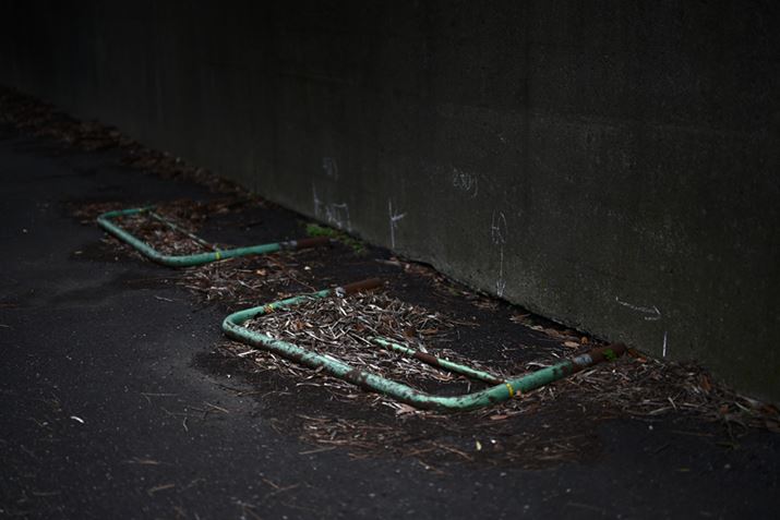 NIKKOR Z 50mm f/1.2 SŎBeiZ 7IIAF1.2A1/800bAISO64AzCgoXFI[g1AsN`[Rg[FX^_[hj