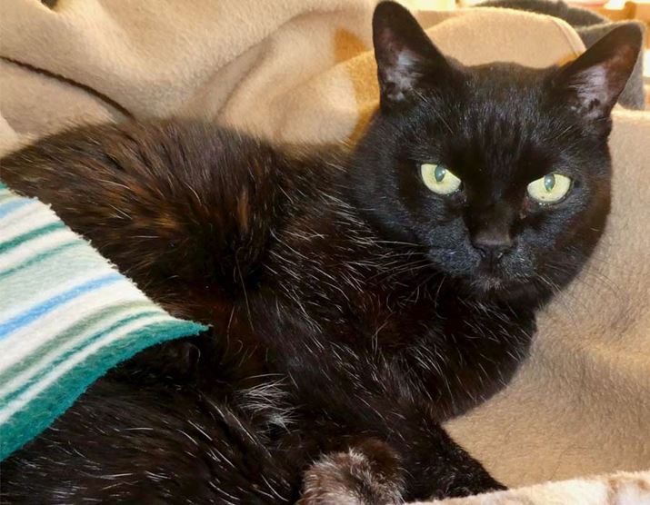 xoꂳĂĂ鍕ĽӖiS}jA13΁B̏d3kgƂ̏LłBoLӓi݁jN1}Ă܂A͈lLƂĉ䂪Ƃł̂т肵Ă܂