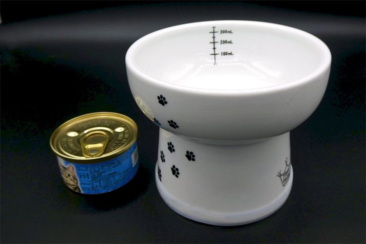 Ȃ傫܂B^̔Lłgł傤H