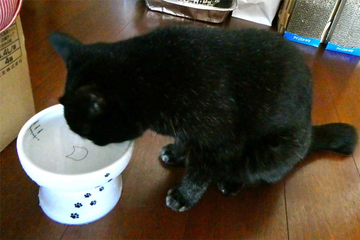 āA܂̓EH[^[{EɒBӖ͂悭ނ̂ŁAHɊ֌WȂł\̂ł