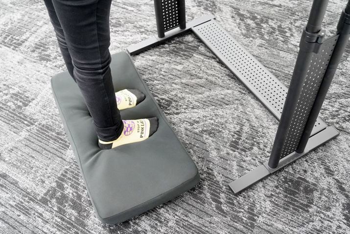 ӂӂ̉ɂƂe͂āABKłBȂ݂ɁAQfނ͌C̃C\[ɂgĂ邱Ƃ̂ŁA}bgƂ͑Qł