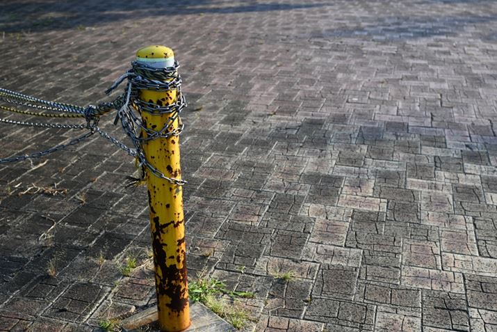 Z fcANIKKOR Z 28mm f/2.8iSpecial EditionjA28mmi35mmZ42mmjAF4A1/400bAISO100AWBFI[g1AsN`[Rg[FI[gAANeBuD-CeBOFȂAJPEGBeʐ^i5568×3712A10.5MBj