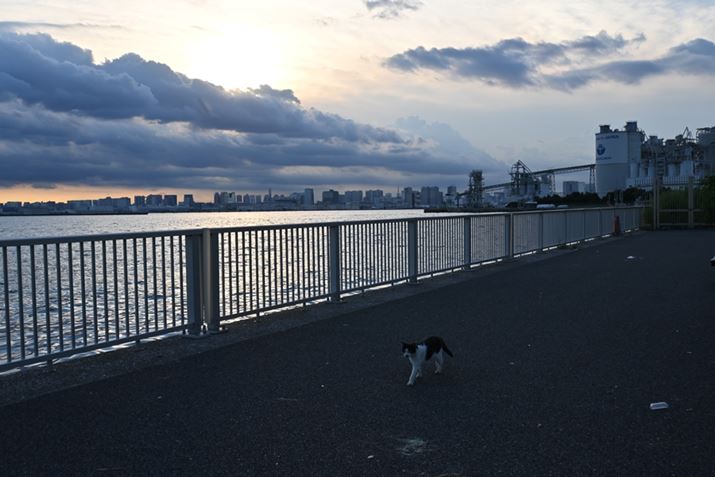 Z fcANIKKOR Z DX 16-50mm f/3.5-6.3 VRA24mmi35mmZ36mmjAF6.3A1/250bAISO100AWBFRI[gAsN`[Rg[FX^_[hAANeBuD-CeBOF߁AJPEGBeʐ^i5568×3712A9.4MBj