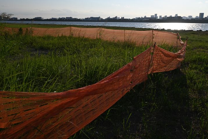 Z fcANIKKOR Z DX 16-50mm f/3.5-6.3 VRA20mmi35mmZ30mmjAF8A1/640bAISO100AWBFRI[gAsN`[Rg[FI[gAANeBuD-CeBOFI[gAJPEGBeʐ^i5568×3712A11.4MBj