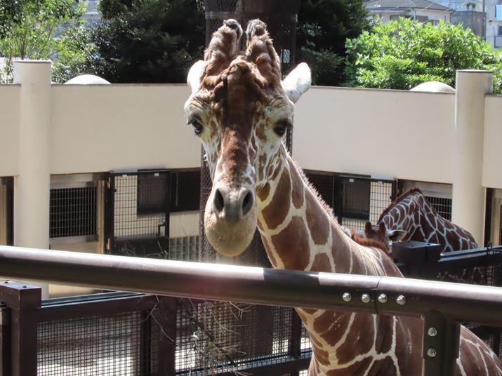 100mmAF5.6A1/500bAISO320Beʐ^i4000×3000j