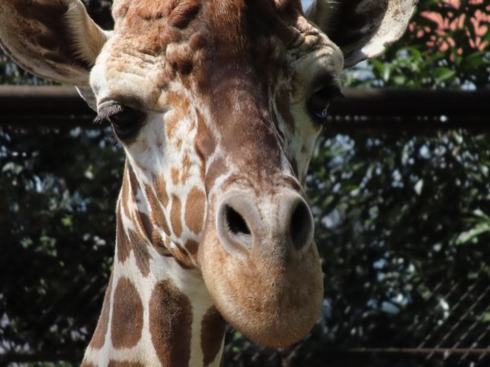 400mmAF6.3A1/500bAISO160Beʐ^i4000×3000j