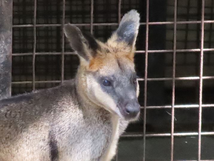 800mmAF6.3A1/250bAISO1600Beʐ^i4000×3000j