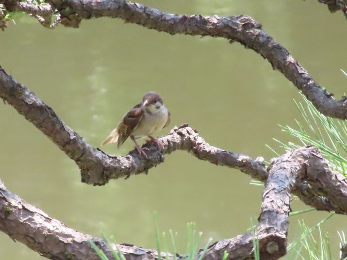 800mmAF6.3A1/500bAISO800Beʐ^i4000×3000j