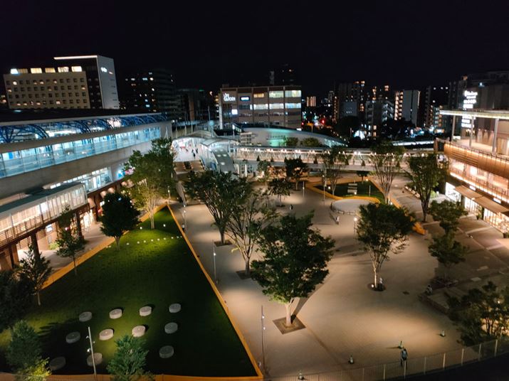  J̐\ł͒]̂Ib|A{@͂̊҂𗠐؂Ȃ掿BmCYȂÕnCCg܂łȂȂRȎdオ肾