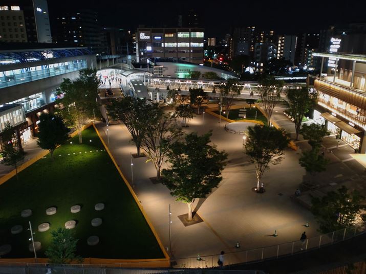 ܂ÂȂiSʂɌʂȂB{@̃J͖ÍɎキA\}ẼnCCg̖邳ɈĂ܂悤