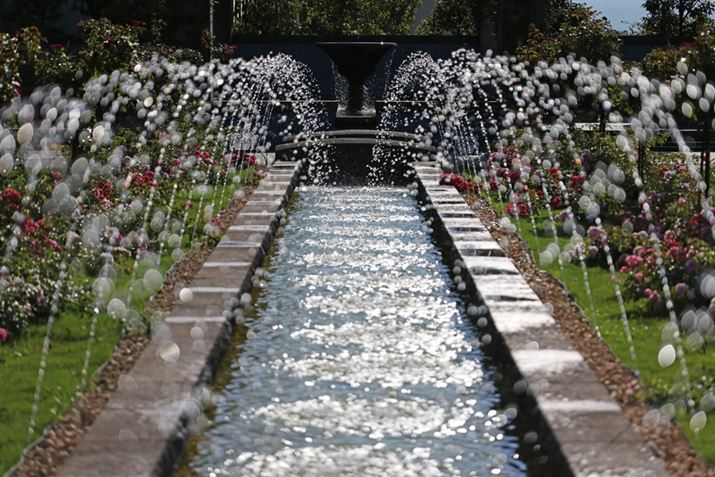 EOS R5ARF100mm F2.8 L MACRO IS USMAISO100AF2.8A1/8000bAzCgoXFI[gi͋CDjAsN`[X^CFX^_[hAJPEGBeʐ^i8192×5464A14.5MBj