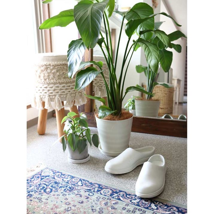 ꂪȒPȂ̂ŁAƂK[fjOɂ