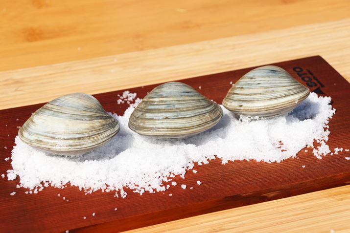 ܂܂V_[Ov[gɁAyɂ邽߂̉~ALڂ܂Bn}O̐Ă\łAn}OłȂ̂ŁAXzrmXLp܂Ai΁j