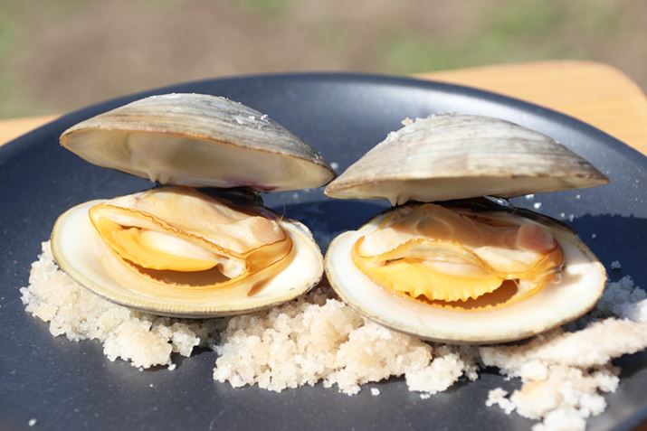 ҂ɋӂ܂āAЂƂBA肪アccB悭lAĂĂ鎞͊L̊kĂ邽߁AzrmXL̐gɍ肪t܂łɂ͎Ȃ͗lBAMɍĂ郌bhV_[̍́AƂĂłi΁j