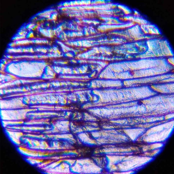 ȊŁAŌԂ̎ʐ^Beł̂łI