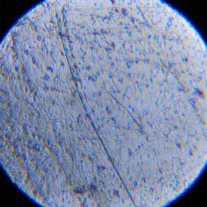 傤́AƂȂsvcȏ̂悤I ܂ׂȂŜɍLĂ܂