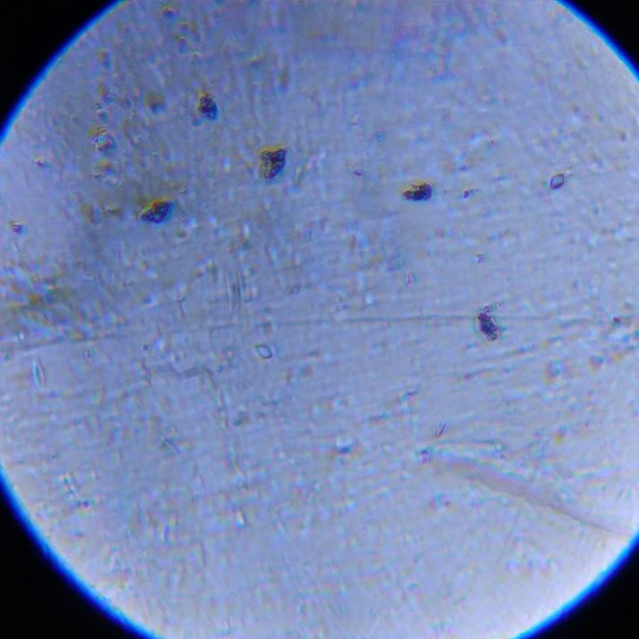 ݂́A傤͂ς肵܂Â悤Ȃ̂ƂǂɌ܂