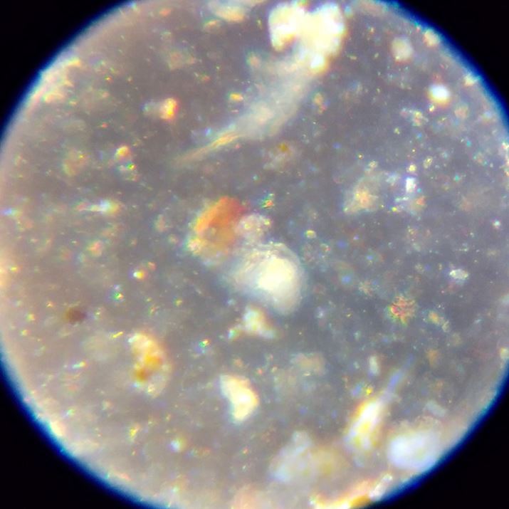 ʔ̂DݏĂ\[XI ܂܂ȃTCỶ܂܂Ă̂킩܂I