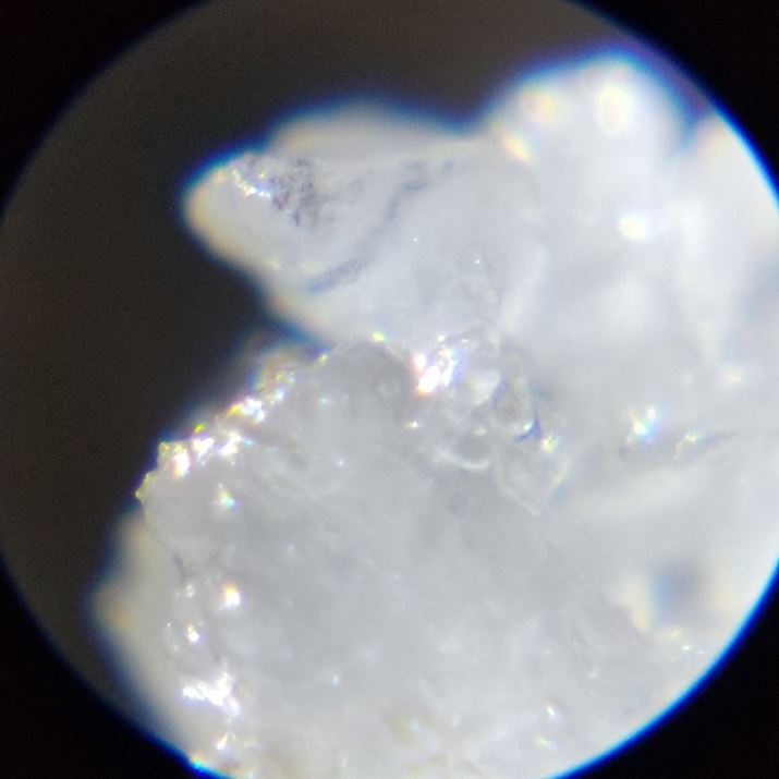 ́AƂȂ\zʂł͂܂A߂ĕ΂̂悤ȌŔłˁI