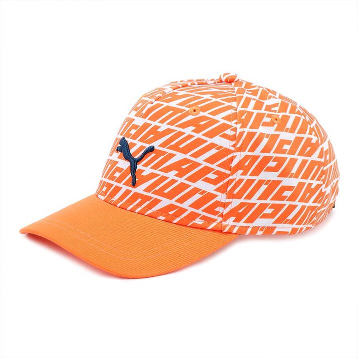 J[͎ʐ^̃IŴقAubNAzCgp