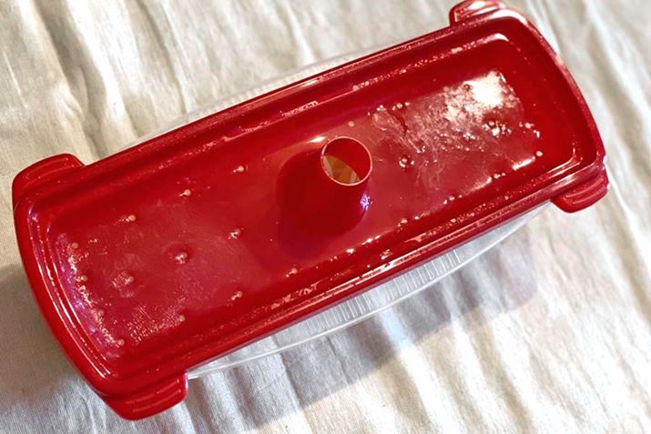 5Ԃ̉MIԂB䥂ŏ`o`Ղ܂