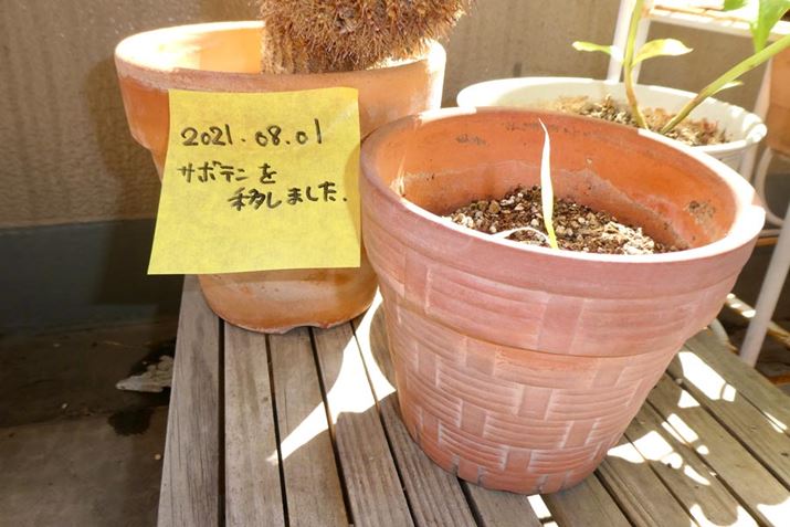 Aɂ\܂B񂱂̂܂܂傤ŐĂv