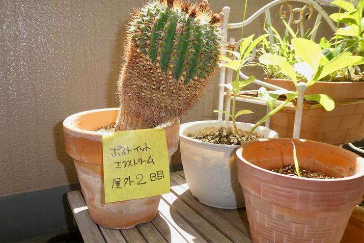 ^Ă̏ɔAɒԓ\ĂĂAɂ͂Ă܂Ƃ͂܂ł